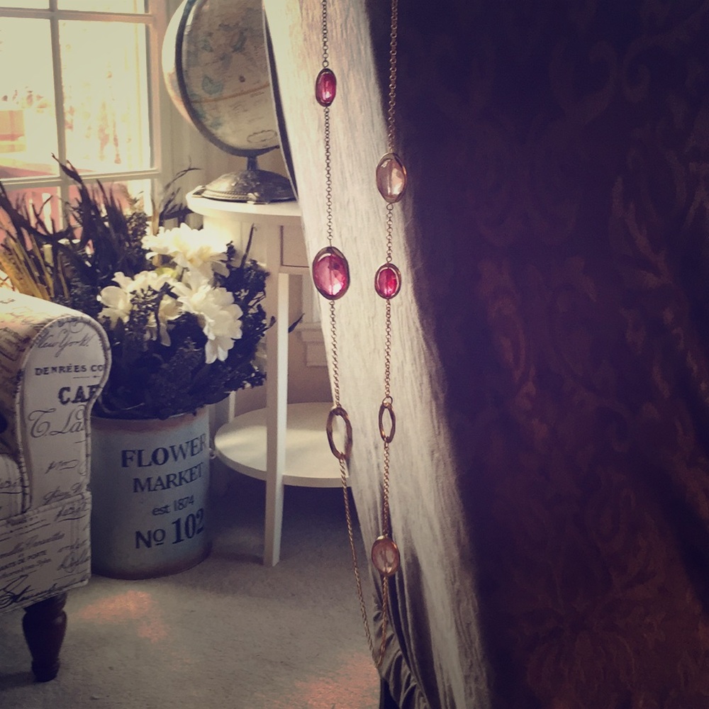 Charming Charlie’s long Necklace and Earrings
